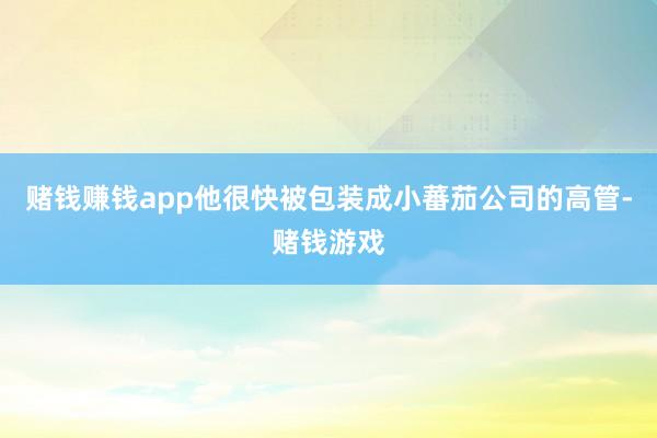 赌钱赚钱app他很快被包装成小蕃茄公司的高管-赌钱游戏
