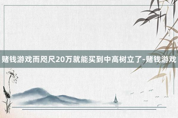 赌钱游戏而咫尺20万就能买到中高树立了-赌钱游戏