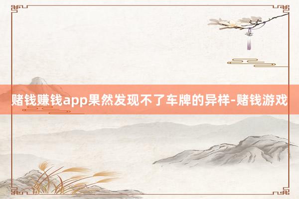 赌钱赚钱app果然发现不了车牌的异样-赌钱游戏