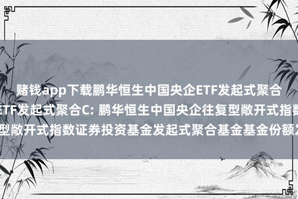赌钱app下载鹏华恒生中国央企ETF发起式聚合A,鹏华恒生中国央企ETF发起式聚合C: 鹏华恒生中国央企往复型敞开式指数证券投资基金发起式聚合基金基金份额发售公告-赌钱游戏