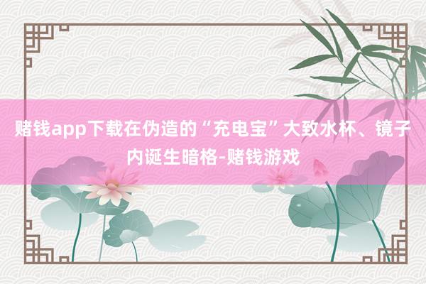赌钱app下载在伪造的“充电宝”大致水杯、镜子内诞生暗格-赌钱游戏