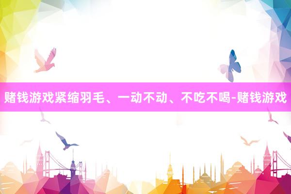 赌钱游戏紧缩羽毛、一动不动、不吃不喝-赌钱游戏