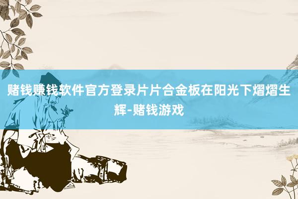 赌钱赚钱软件官方登录片片合金板在阳光下熠熠生辉-赌钱游戏