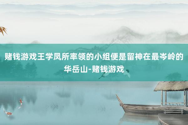 赌钱游戏王学凤所率领的小组便是留神在最岑岭的华岳山-赌钱游戏
