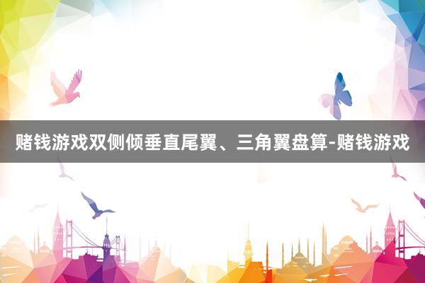 赌钱游戏双侧倾垂直尾翼、三角翼盘算-赌钱游戏