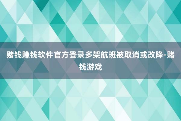 赌钱赚钱软件官方登录多架航班被取消或改降-赌钱游戏
