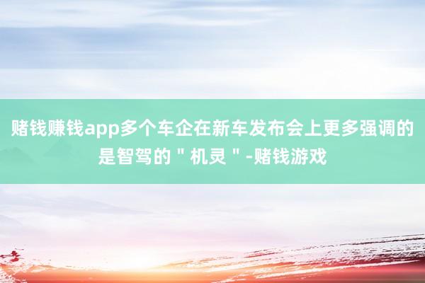 赌钱赚钱app多个车企在新车发布会上更多强调的是智驾的＂机灵＂-赌钱游戏