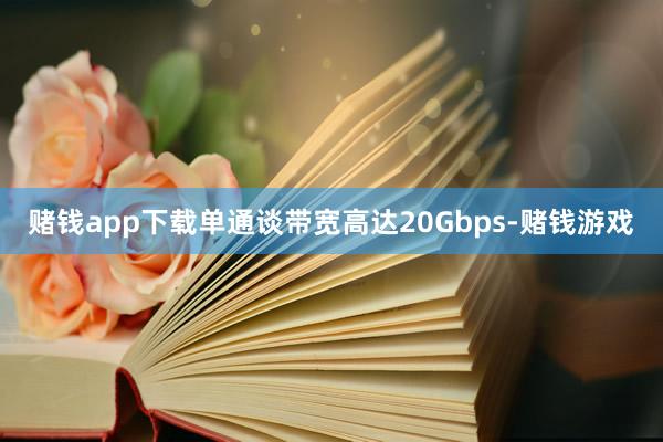 赌钱app下载单通谈带宽高达20Gbps-赌钱游戏