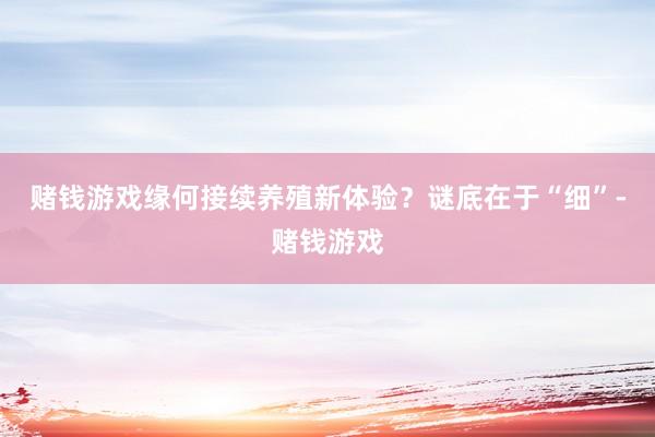 赌钱游戏缘何接续养殖新体验？谜底在于“细”-赌钱游戏