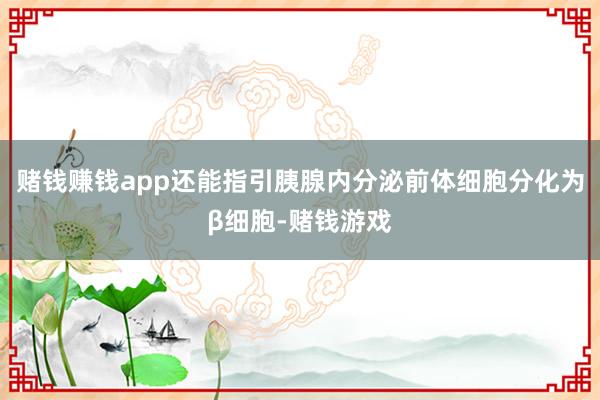 赌钱赚钱app还能指引胰腺内分泌前体细胞分化为β细胞-赌钱游戏