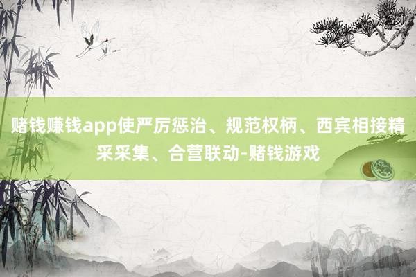 赌钱赚钱app使严厉惩治、规范权柄、西宾相接精采采集、合营联动-赌钱游戏