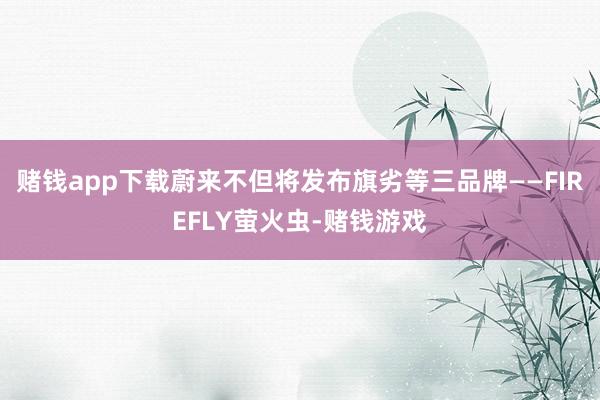赌钱app下载蔚来不但将发布旗劣等三品牌——FIREFLY萤火虫-赌钱游戏