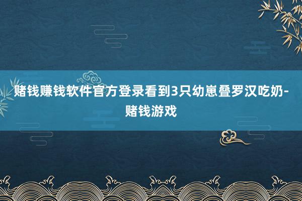 赌钱赚钱软件官方登录看到3只幼崽叠罗汉吃奶-赌钱游戏