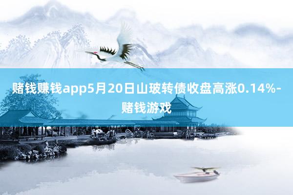 赌钱赚钱app5月20日山玻转债收盘高涨0.14%-赌钱游戏